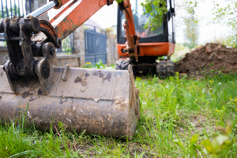 Land Clearing: Essential Steps and Tips