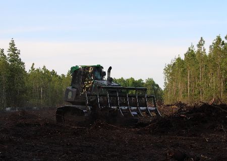 Land clearing service